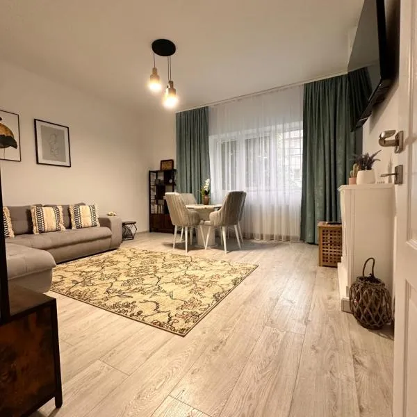 Cristina Dreams Apartaments 2，位于博托沙尼的酒店
