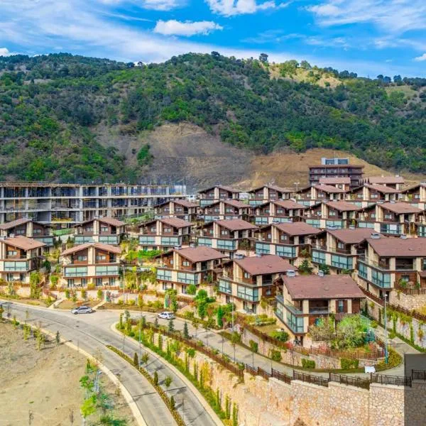 V Orman Resort，位于Mudurnu的酒店