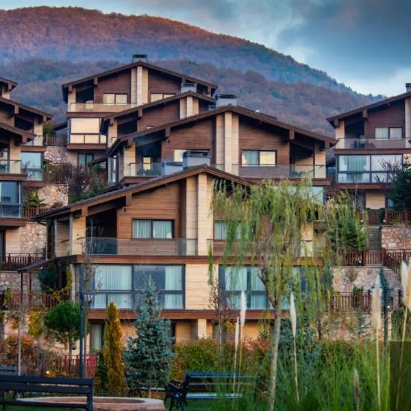V Orman Resort，位于Mudurnu的酒店
