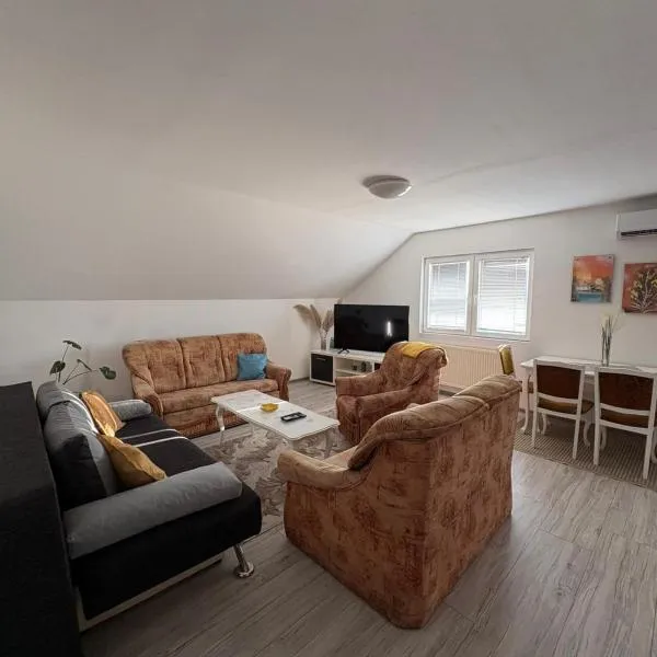 Apartman Salus，位于图兹拉的酒店