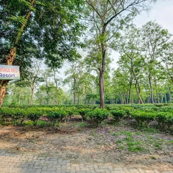 Hotel O Heritage Nest Resort Kazirnga，位于卡齐兰加的酒店