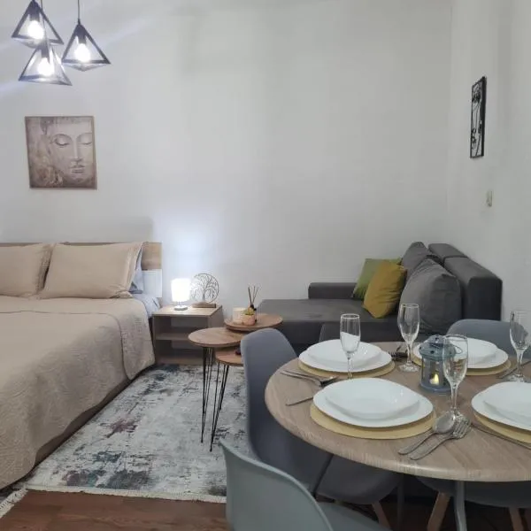 Apartment Arja，位于戈斯蒂瓦尔的酒店