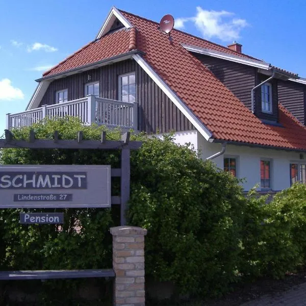Schmidt's Pension Schwansee，位于Brook的酒店