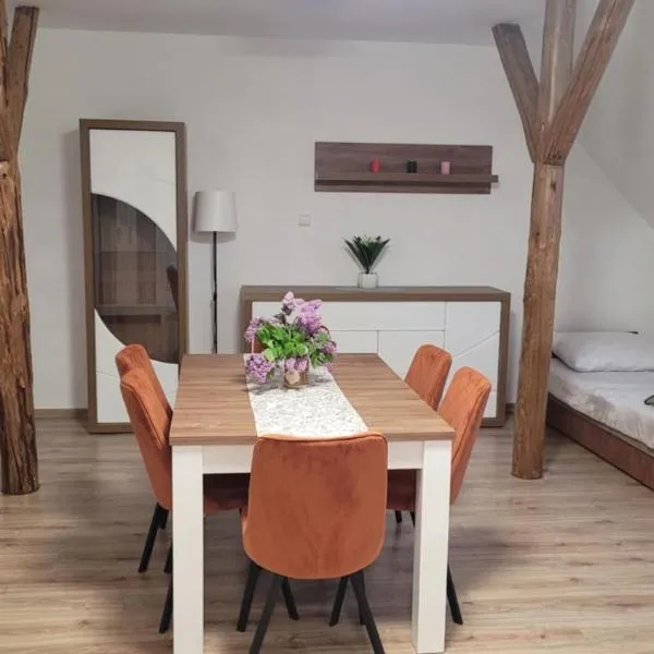 Agroturystyka Błądkowo 20A, Dom 11 miejsc，位于Dobra的酒店