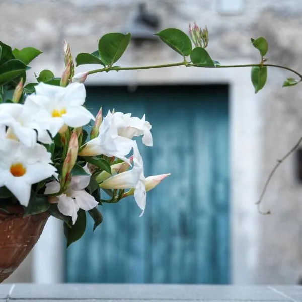 CasaMia，位于奥罗塞伊的酒店