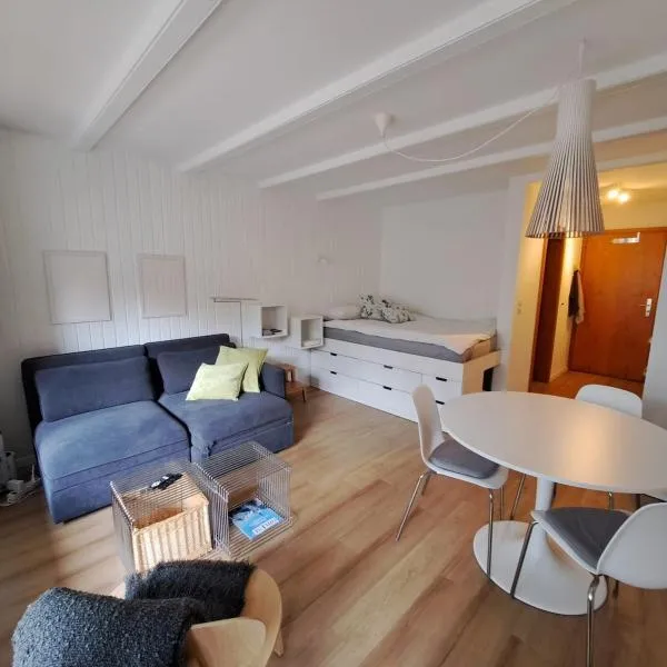 Le Flocon Studio in Ovronnaz close to the baths，位于奥瓦伦纳茨的酒店