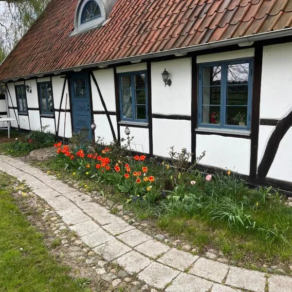 Half-timbered house in Österlen，位于Sjöbo的酒店