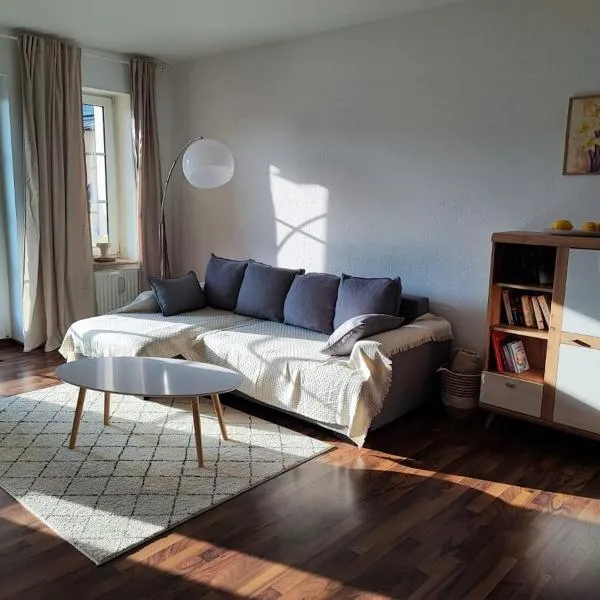 Ferienwohnung Alte Mühle in Freital bei Dresden，位于弗赖塔尔的酒店