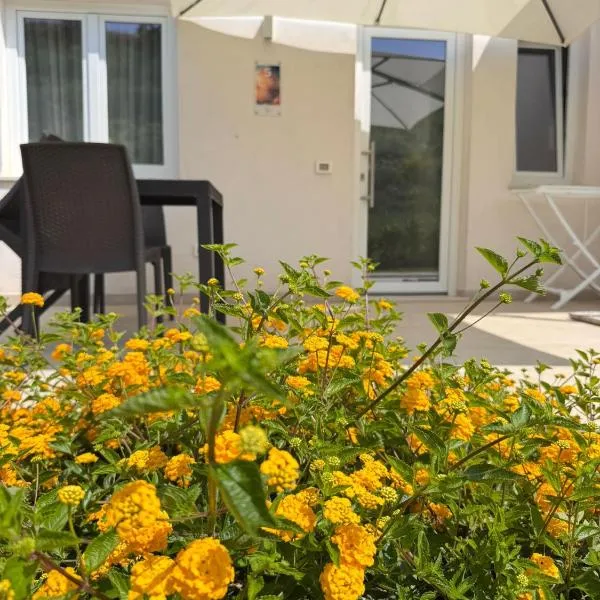 Galaxy Rooms Tropea，位于Drapia的酒店