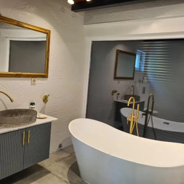 Vila Horizont Premium，位于奥夫查尔巴尼亚尼的酒店