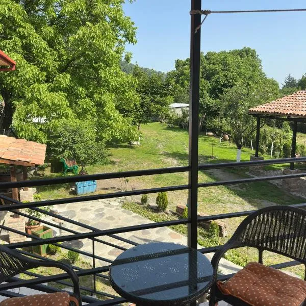 DreamLand Lagodekhi & Wine Cellar，位于拉戈代希的酒店