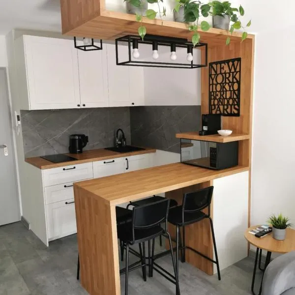 Apartament BOGDANKA nad Zalewem，位于斯诺科的酒店