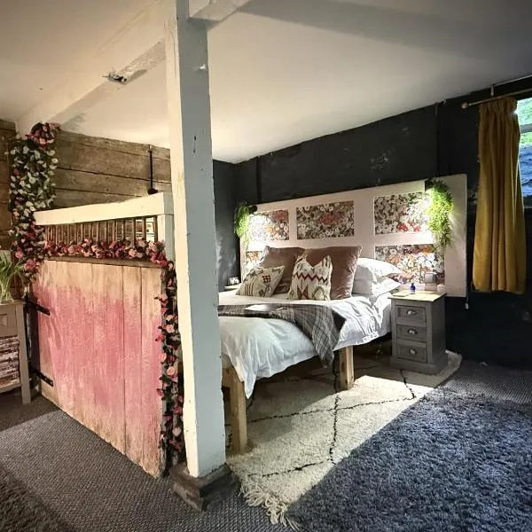 Charming two-bedroom apartment, One Drake Road, Tavistock，位于塔维斯托克的酒店