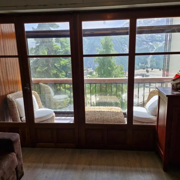Appartement au pieds des pistes avec parking gratuit，位于奥尔西埃的酒店