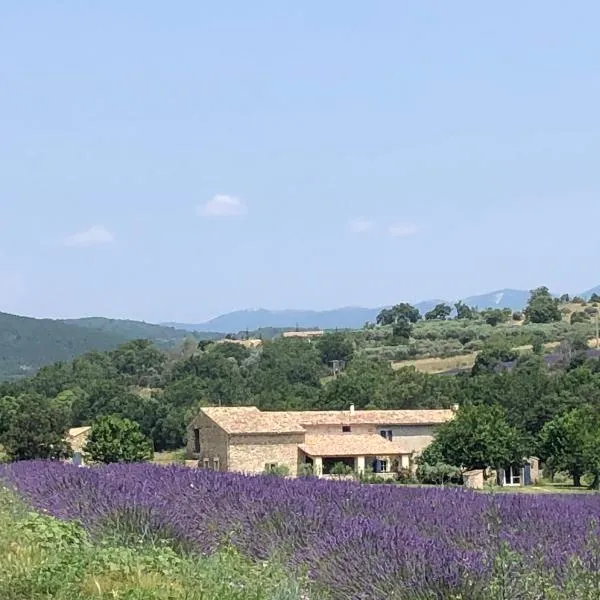 Mas du 18e siècle au calme entouré de champs de lavandes，位于Pierrerue的酒店