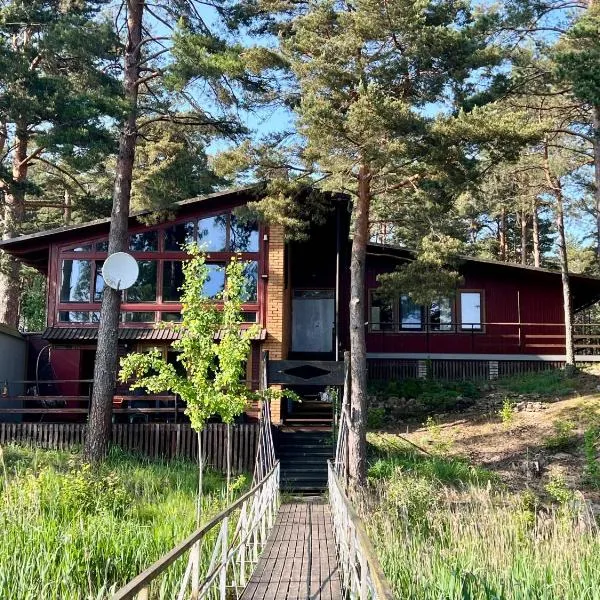 Vesiroos Villa，位于Alajõe的酒店