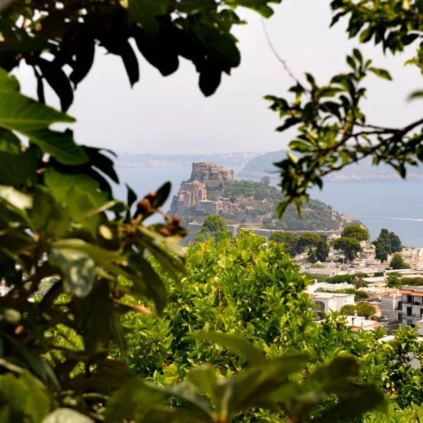 Panorama Carmelina，位于伊斯基亚的酒店