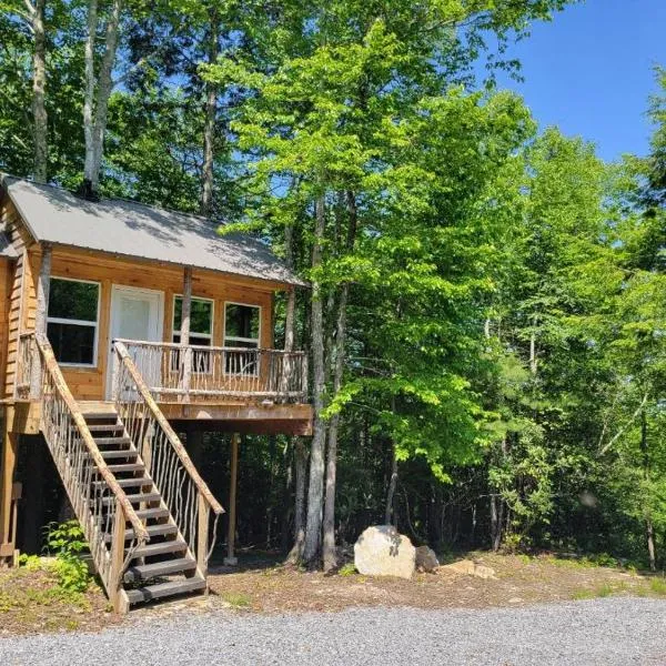 Treehouses at Lake Mountain Manor，位于普林斯顿的酒店