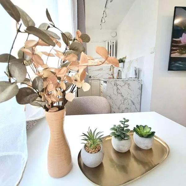 Apartament Dominikanski，位于拉齐布日的酒店