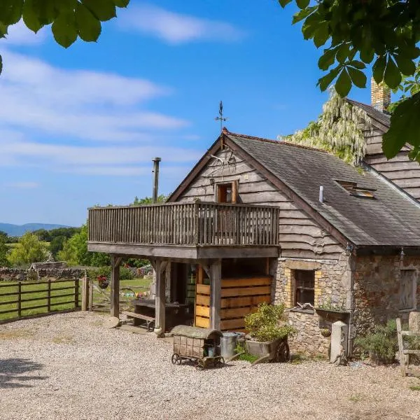 Buckleigh Lodge，位于牛顿阿伯特的酒店