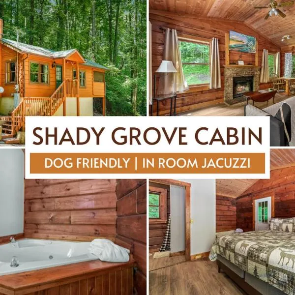 Pet-Friendly Cabin, In-Room Jacuzzi, King Bed, WiFi，位于赛维尔维尔的酒店