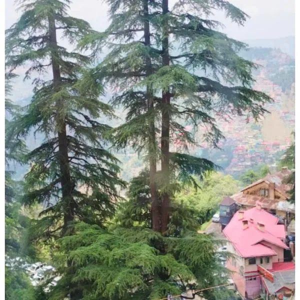 HOTEL #KRISHNA B&B Śhimla Near Mall Road- Free Wi-fi And Restaurant & Mountain View -Best Hotel In Śhimla!，位于西姆拉的酒店