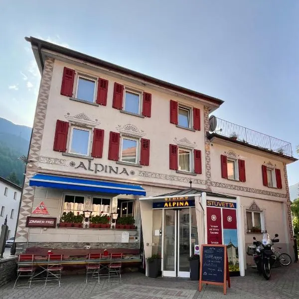 Hotel Alpina，位于策尔内茨的酒店