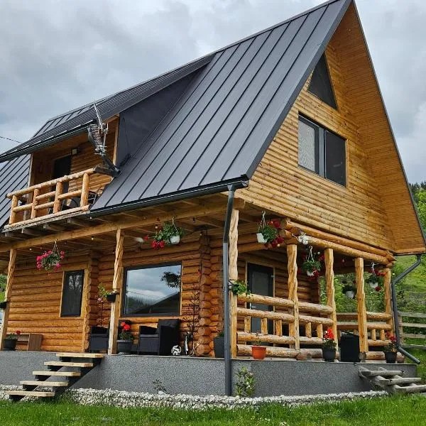 Cabana MIYA，位于Mătişeşti的酒店