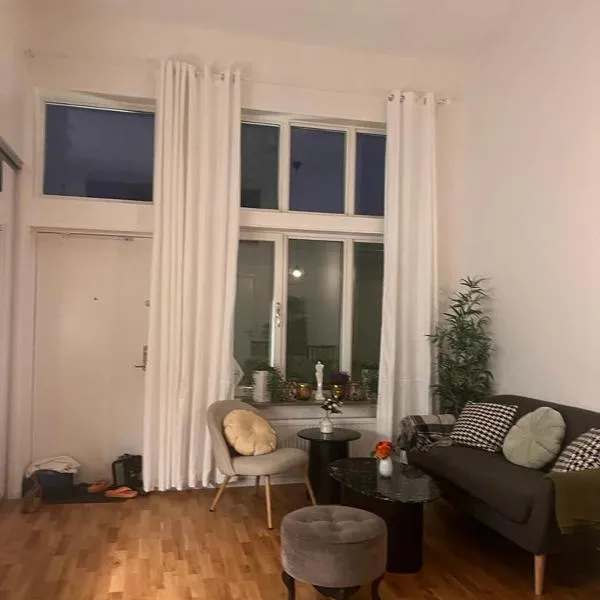 Beautiful Apartment with a Loft，位于卢马的酒店