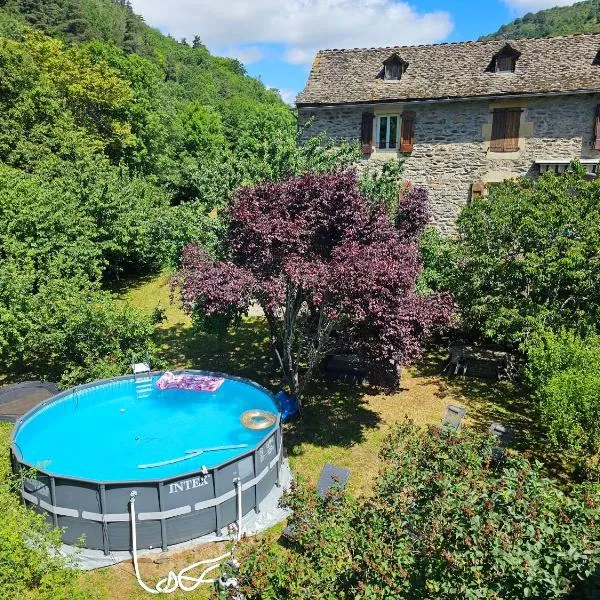 Moulin au Bord de l'Eau Calme et Nature，位于Saint-Léger-de-Peyre的酒店