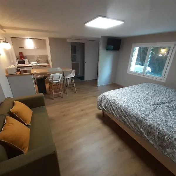 Studio Le Bon Coin，位于孔德里约的酒店