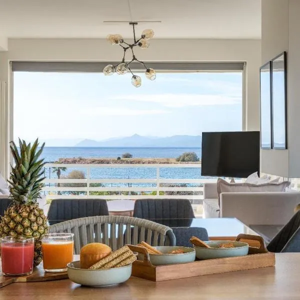 3 Bedroom Apartment Suite in Glyfada，位于雅典的酒店