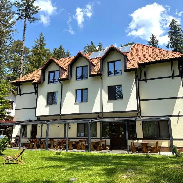 Berghof Eva - Hotel，位于潘尼希特的酒店