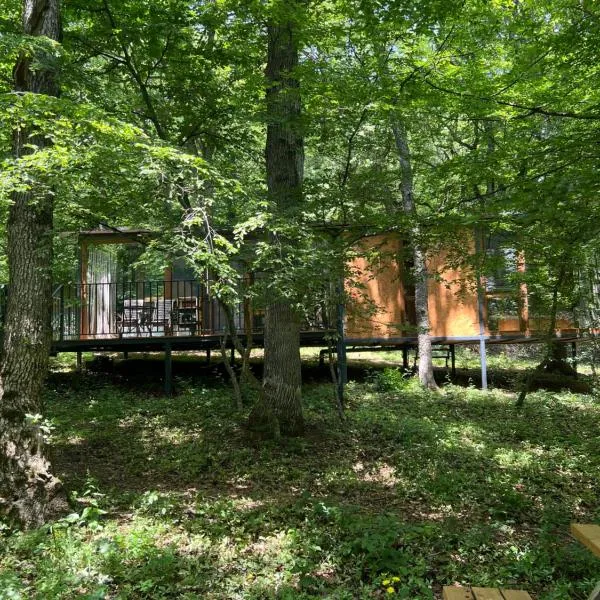 Nina's winery forest house in Kiketi，位于第比利斯的酒店