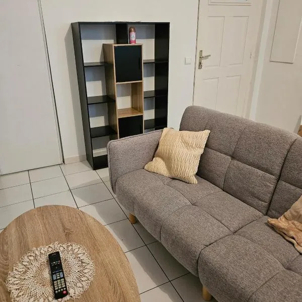 Appartement -T3，位于奥洛龙圣玛丽的酒店