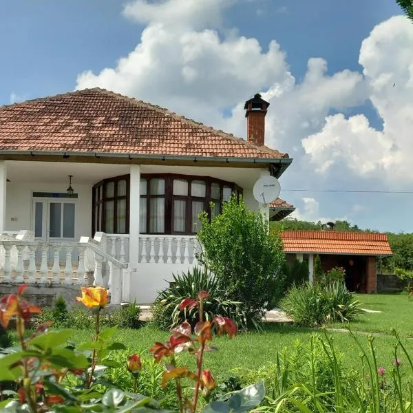 Apartmani Ćosić，位于Kuršumlija的酒店