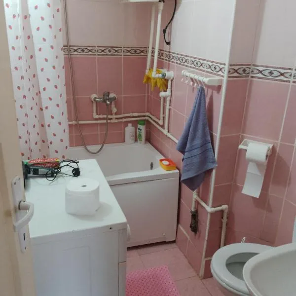 Apartman Markovic，位于弗拉涅的酒店