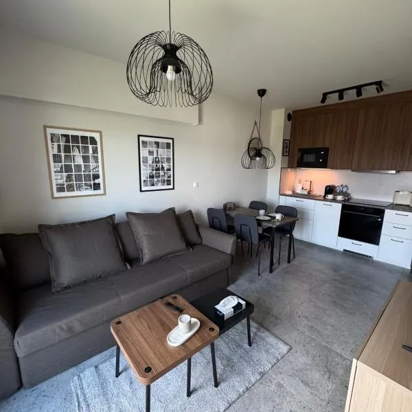 Apartament Kasztanówka w Rydzynie，位于Kłoda的酒店