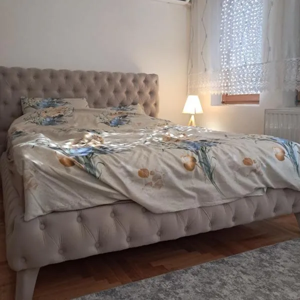 AS Apartment Tetovo，位于泰托沃的酒店