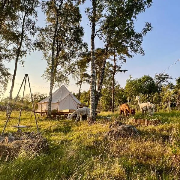 Glamping med alpackor，位于拉霍尔姆的酒店