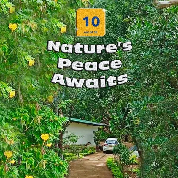 Nature Lodge - A Modern, Exclusive Holiday Home Just for You!，位于埃拉的酒店