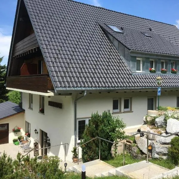 Forsters Schwarzwald Pension，位于费尔德伯格的酒店