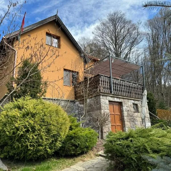 Villa Garden Balvanyos，位于Turia的酒店