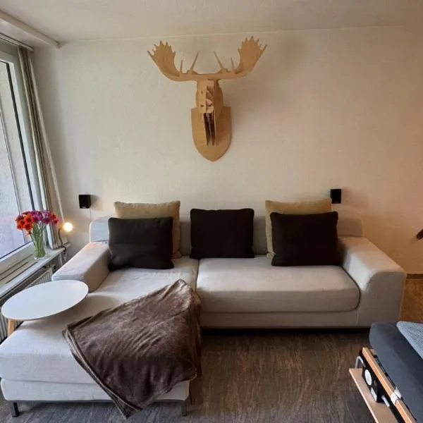 Stylish Alpine Studio in Davos, Wifi & Netflix，位于达沃斯的酒店