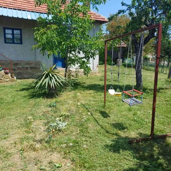 Dragačevska kuća na bregu，位于Viča的酒店