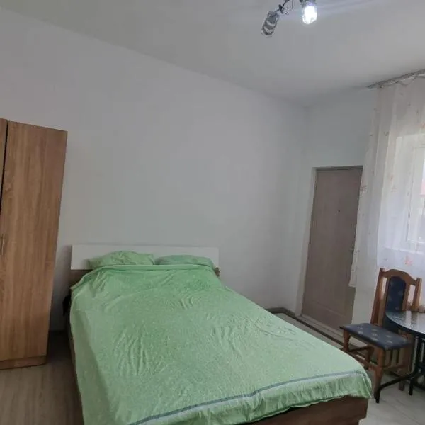 Studio Adriana 1，位于Murfatlar的酒店