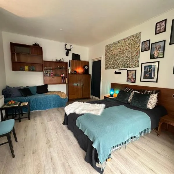 Hobro guesthouse，位于霍布罗的酒店
