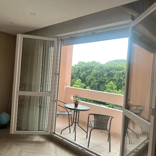 Moderne Appartement Strasbourg，位于斯特拉斯堡的酒店