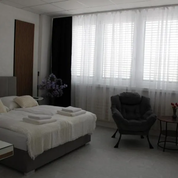 Résidence Appartment Gebenstorf，位于Gebenstorf的酒店