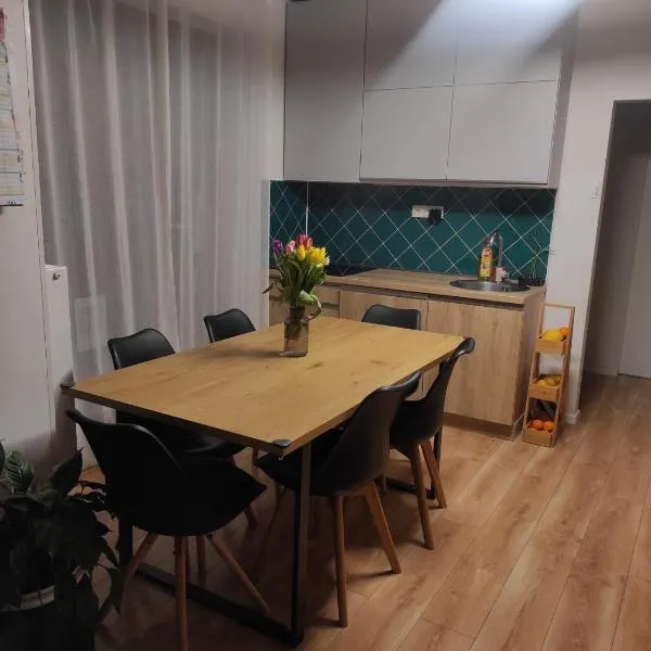 Dovolenkovy dom s terasou，位于斯皮什新村的酒店